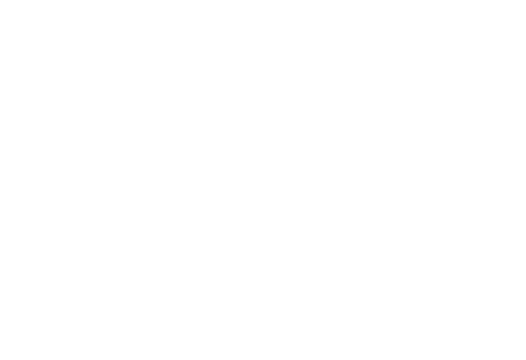 Logo Falafolie white